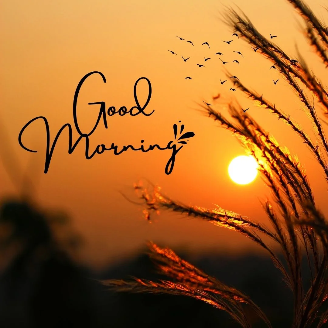 80+ Good morning images free to download 61